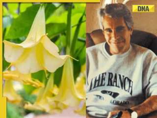 Epstein Files: What are Trumpet plants? Sex offender grew them in nursery, emails reveal their shocking effects on victims 