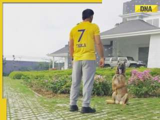 Did MS Dhoni change his jersey No 7 ahead of IPL 2026? Here's what official Facebook post suggests