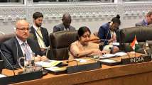 BRICS shouldn't be divided on UNSC reform: India