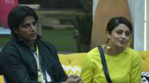 Bigg Boss 12 preview: Romil-Nirmal, Dipika Kakar in jail, Karanvir Bohra or...