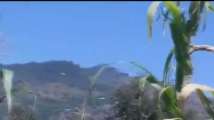 Watch: Pakistani helicopter violates Indian airspace in Poonch sector...