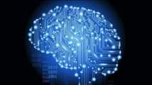 Did you know that too many choices overwhelm your brain 