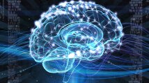 Scientists decode why too many choices hinder decision making