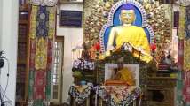 Hundreds attend Day 1 of Dalai Lama's Uma Jukpa sermon in India