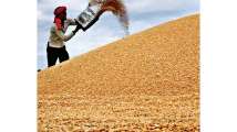 MSP hikes may not enthuse farmers