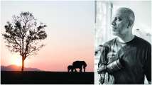 I’ve always looked at music visually: Zubin Balaporia