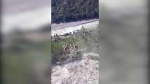 Mini bus plunged in deep gorge near Ramban 
