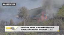 Wildfire hits Spain's wine making region, Ribeira Sacra