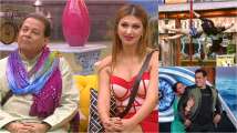 'Bigg Boss 12' Preview Day 21: Nehha Pendse's sultry pole-da...