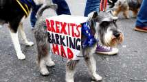 Brexit's Barking Mad: Hundreds of dogs hound Theresa May for...