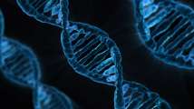 Gene editing could treat lethal disease before birth