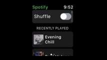 Official beta version of the Apple Watch Spotify app is now available