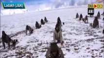  ITBP personnel perform yoga in cold desert at altitude of 18,000 ft