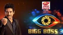 bigg boss 3 telugu live streaming online