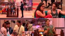 'Bigg Boss 13' February 11, 2020, Written Update: Rajat Sharma ac...