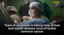 Scientists target foot, mouth disease virus to tackle pancreatic cancer
