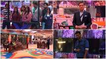 'Bigg Boss 13' February 12, 2020, Written Update: Rajat Sharma ca...