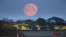 Supermoon 2020: Netizens share mesmerizing pics of 'super flower...