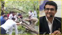 WATCH: Kolkata Police's efforts to move fallen trees after Cyclon...