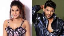 Times when #SidNaaz fans were sure Sidharth Shukla and Shehnaaz Gill are in...