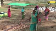 Chhattisgarh women SHG gets training in beekeeping 
