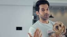Inside photos of Rajkummar Rao's home with eclectic art, cosy reading...