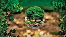 Earth Day 2021: Slogans, quotes, messages and wishes to send on this d...