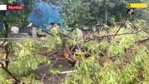 Cyclone Tauktae: 1 injured after tree falls on auto rickshaw in Mumbai