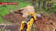 Elephant stuck in mud rescued in Karnataka’s Kodagu