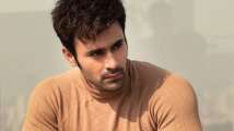 Who is Pearl V Puri? All you need to know about 'Naagin 3' actor...