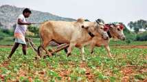Want to apply for Kisan Credit Card? Keep these points in mind before...