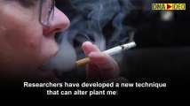 New technique reduces nicotine levels, harmful compounds simultaneously in...