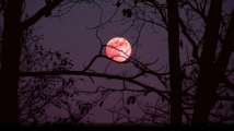 Moon, Saturn, Jupiter set to align soon: When and how to watch this ce...