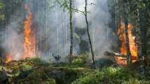 1972 study predicted world collapse by 2040 - New research shows we...