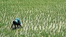 Good news! Farmers to get guaranteed monthly pension of Rs 3,000 under...