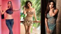 Nia Sharma, Shehnaaz Gill, Shweta Tiwari, Rashami Desai: TV divas who are r...