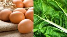 From eggs to leafy greens: Foods that will help you lose weight