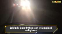 Viral: Giant Python crossing road on highway in Bahraich