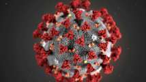 All about Delta variant AY.4.2 that is increasing COVID-19 infections...