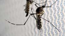 Uttar Pradesh reports first Zika virus case, local authorities on high...