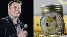 Shiba Inu falls two spots after Elon Musk's response to a tweet -...