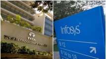 Job alert! Infosys, Wipro, HCL, other big IT companies to hire over 1...