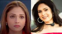 From Sandali Sinha to Meenakshi Seshadri: Actresses who left Bollywood to p...