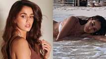 Disha Patani flaunts her sexy figure in stylish ivory bikini, lays on...