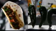 ‘Best space tacos yet’: Astronauts make tacos with first chili peppers...