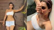 Nia Sharma sets internet on fire in sexy bralette and shorts, shares p...