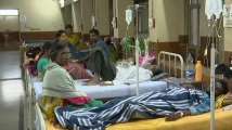 Delhi logs 1200 dengue cases in October, highest for month since 2017