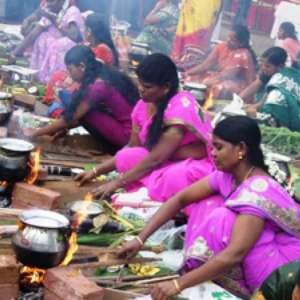 Pongal 2021: Know significance, dates, muhurat of this Tamil harvest festival - Vimarsana News