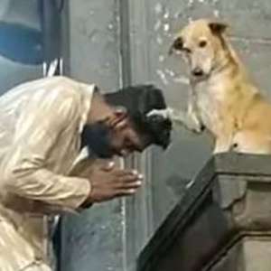 Viral ALERT: Dog blesses devotees and shakes hands outside temple - Vimarsana News