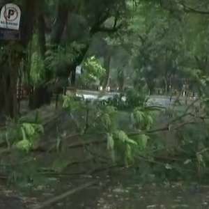 Cyclone Tauktae: 4 dead, several villages hit in Karnataka; yellow alert issued for Gujarat coast - Vimarsana News